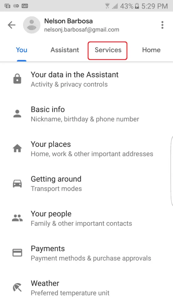 Google Home services